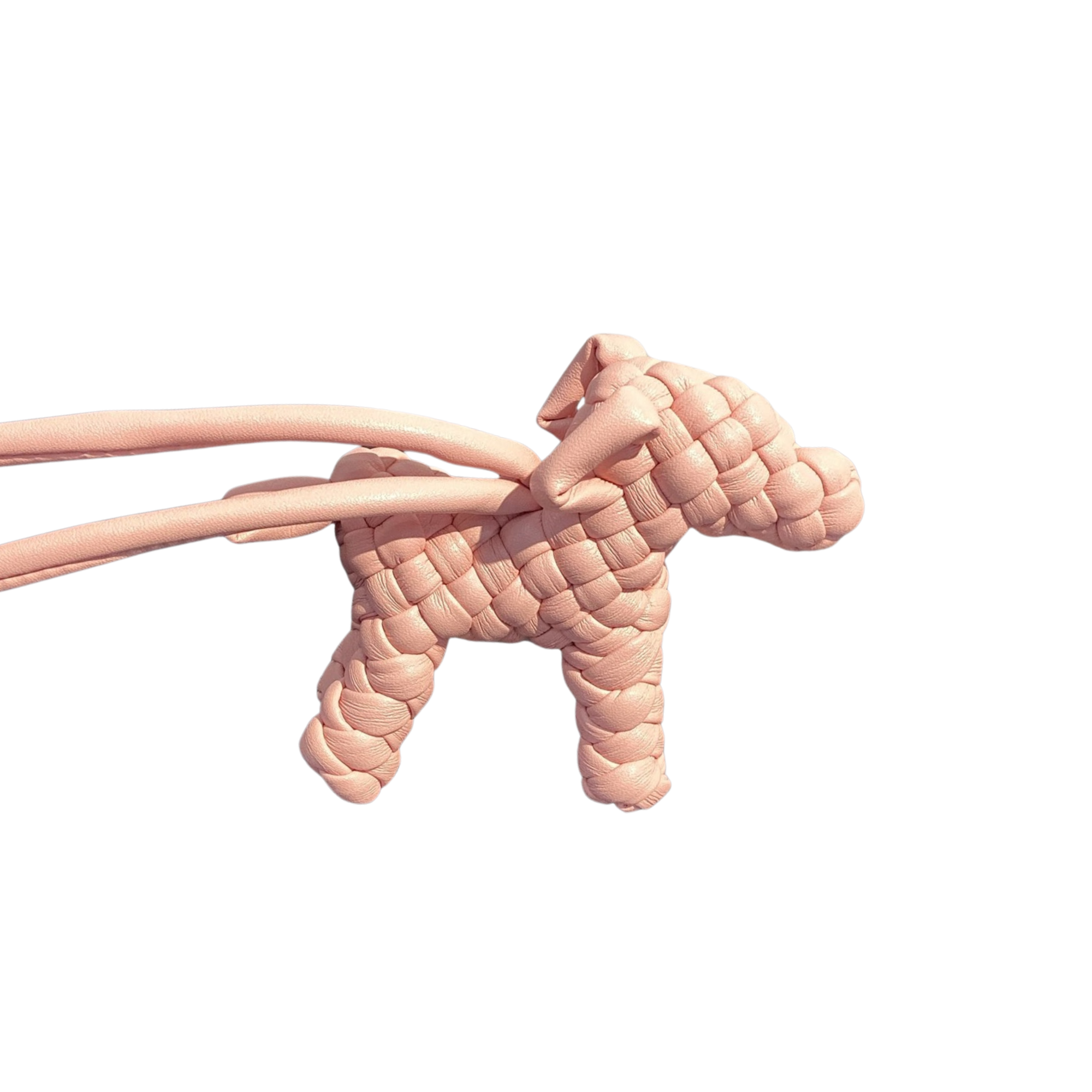 Trendiesty Woven Leather Puppy Dog Charm