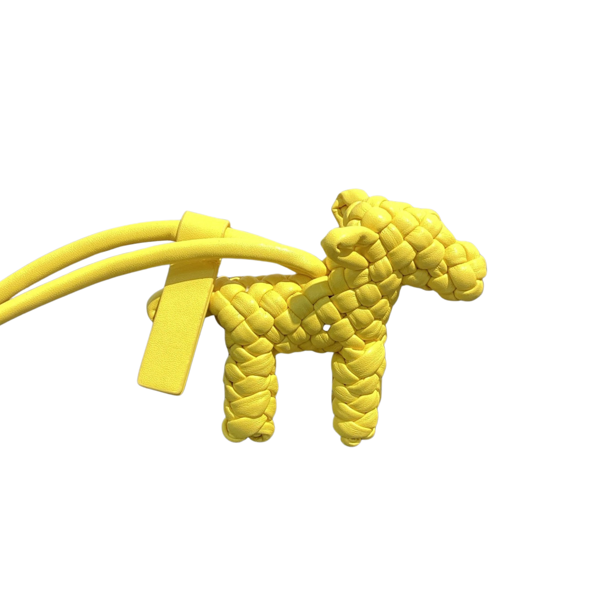Trendiesty Woven Leather Puppy Dog Charm